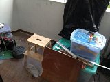 IMG 3698