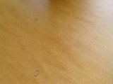 IMG 3727