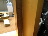 IMG 3768