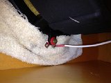 IMG 3854