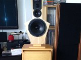 IMG 3917